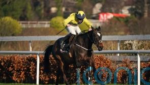 Good Land hunting Grade One gold at Leopardstown