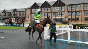 Thedevilscoachman awarded Grade Three prize at Naas