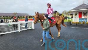 Diverge books Supreme ticket with Punchestown romp