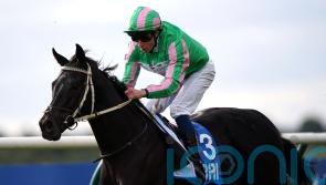 Hills planning dual assault on Turf Sprint prize