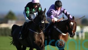 Murphy mulling Cheltenham and Aintree choices for Strong Leader