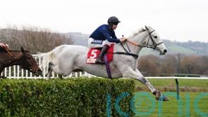 Longsdon &lsquo;delighted&rsquo; after Snow Leopardess&rsquo; Cheltenham spin