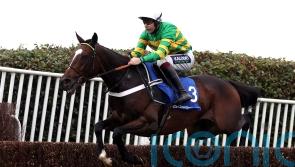 Jonbon all set for weekend action, with Warwick still preferred option