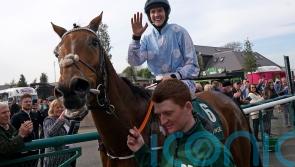 Honeysuckle to have Mares&rsquo; Hurdle swansong at Cheltenham