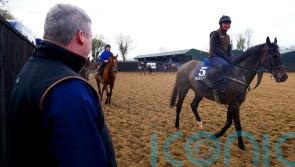 &lsquo;Fresh and well&rsquo; Conflated poised to make his mark in Gold Cup