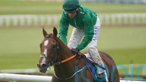 HMS Seahorse setting sail for Coral Cup challenge