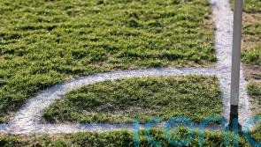 Woking hit back to draw with Boreham Wood