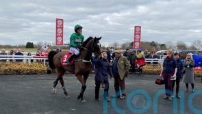 Messire Des Obeaux delights connections at Warwick