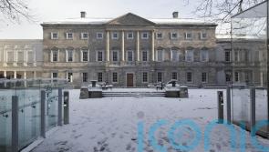 Human rights group raises concerns over Chinese cameras at the Oireachtas