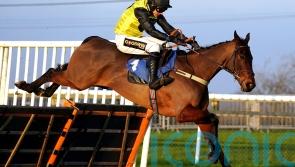 Colic rules Aucunrisque out of quick return in Kingwell Hurdle