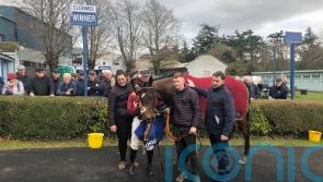 Monty&rsquo;s Star shines in one-two for De Bromhead in Clonmel feature