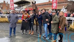 Hullnback aiming for Aintree honours