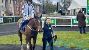 Coltor carrying hopes of Cheltenham success for Nick Bradley Racing