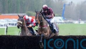 Martin would like rain at Newcastle ahead of Amigos Eider option