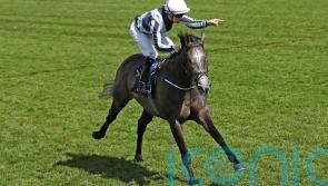 Niarchos family put renowned stud on the market