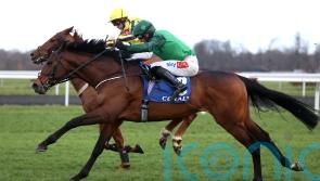 Nusret boosts the claims of Irish-trained juveniles ahead of Cheltenham