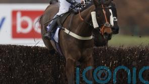 Cooper&rsquo;s Cross chasing Doncaster double in Grimthorpe