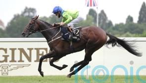 Johnston outlines Dubai and Ascot options for Subjectivist