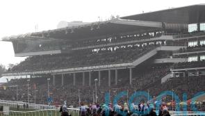 Dorking could deliver Festival victory for Crawford