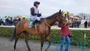 Indiana Jones scoops Flyingbolt glory