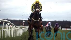 Mulholland in no hurry to map out Willmount plan