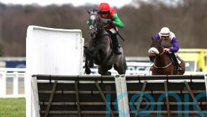 Zoffany Bay giving Fahey chance of Imperial Cup defence