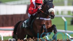 Soul Icon set to swerve Imperial Cup