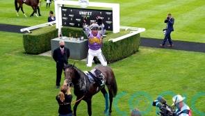 Angel Bleu out to stamp his class in Lady Wulfruna