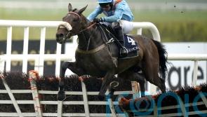 Marie&rsquo;s Rock taking on Epatante and Honeysuckle in Mares&rsquo; Hurdle to savour