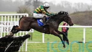 Comfort Zone forced to miss Triumph Hurdle bid