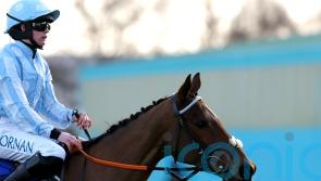 Blackmore confident Honeysuckle can still make her presence felt