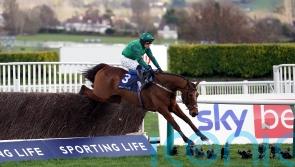 El Fabiolo sees off old rival Jonbon for Arkle glory