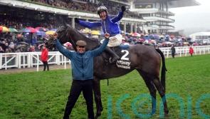 Mullins backing Energumene to bounce back in Champion Chase defence