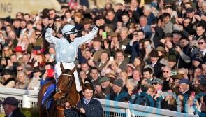 Blackmore will be forever grateful to &lsquo;phenomenal&rsquo; Honeysuckle