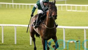 Blazing Khal steps up for Stayers&rsquo; task after troubled prep