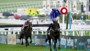 Energumene all class in Champion Chase defence