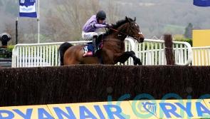 Stage Star strikes from the front for Nicholls and Cobden