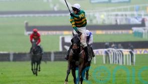 Sire Du Berlais is a Festival hero once again