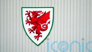 FAW says it takes disciplinary matters seriously in wake of investigation