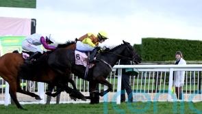 Bravemansgame will be back next year, says proud Nicholls