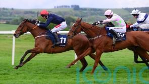 Longhouse Poet tunes up for National with Down Royal victory