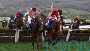 Faivoir gets the nod to give Skelton another County Hurdle