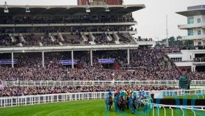 Fears of whip rules overshadowing Cheltenham prove unfounded
