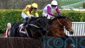Nicholls &lsquo;mighty proud&rsquo; of Gold Cup second Bravemansgame