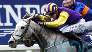 Princess Zoe poised for Easter assignment at Fairyhouse