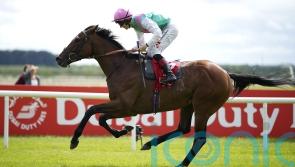 Classic hero Westover hunting Sheema success in Dubai