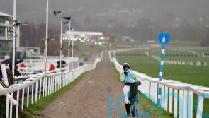 McConnell backing Mahler Mission to bounce back