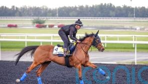 Lord North leading Gosden team on glittering World Cup night card