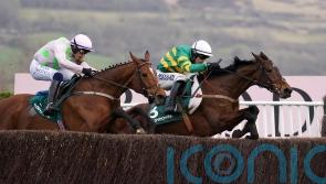 Impervious recovery key to Punchestown outing