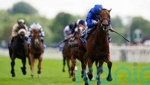 Noble Style to test Guineas aspirations in Greenham